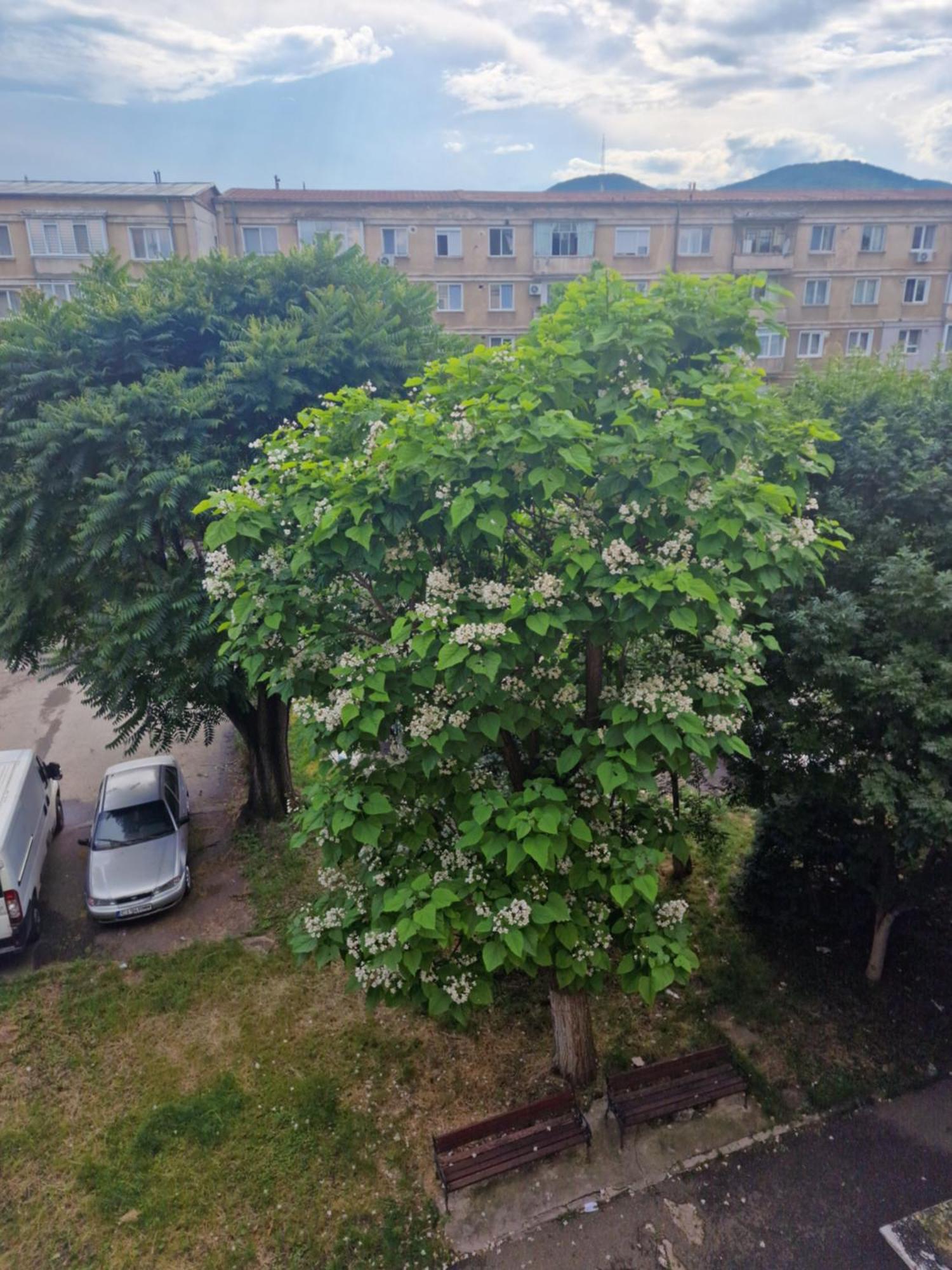 Apartament Central Deva Exterior foto